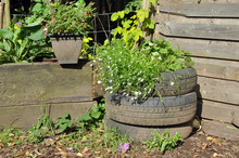 Recycled Car Tyre Flower Planter
