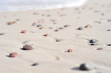 Fototapeta Dmuchawce - rocks by the seaside