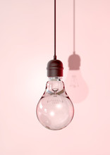 Hanging Light Bulb And Fitting