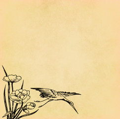 Wall Mural - Illustration of flying bird with flower on old paper