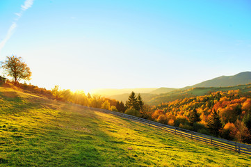 Canvas Print - Autumn landscape