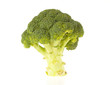 isolated broccoli
