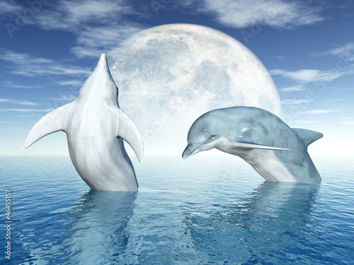 Plakaty delfiny  skaczace-delfiny