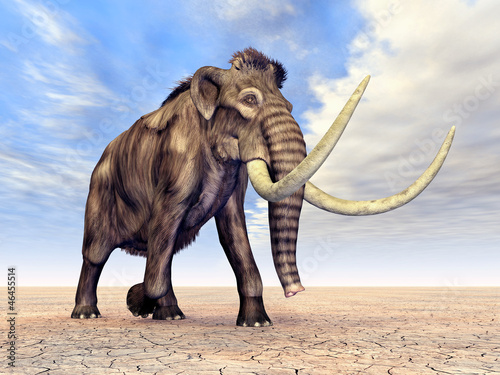 Naklejka dekoracyjna Mammut