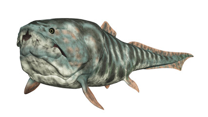 Wall Mural - Dunkleosteus