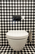 © Photographee.eu - Checkered pattern in toilet