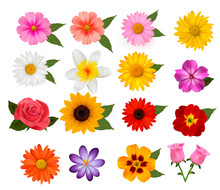 Big Set Of Beautiful Colorful Flowers. Vector Illustration