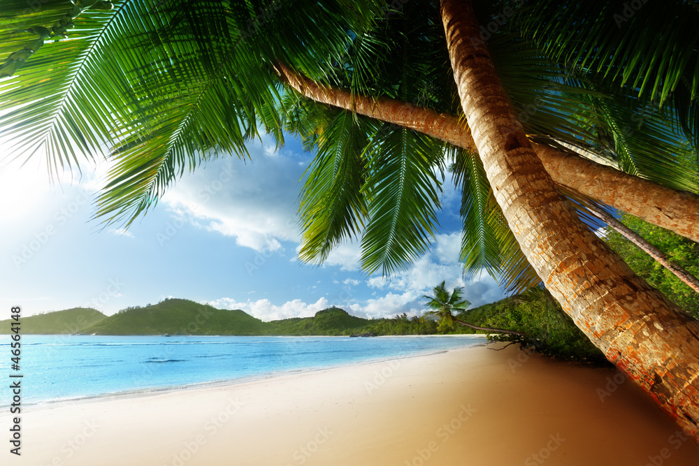 sunset on beach, Mahe island, seychelles - obrazy, fototapety, plakaty 