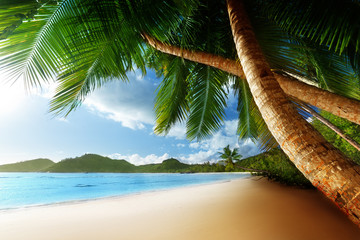 Wall Mural - sunset on beach, mahe island, seychelles