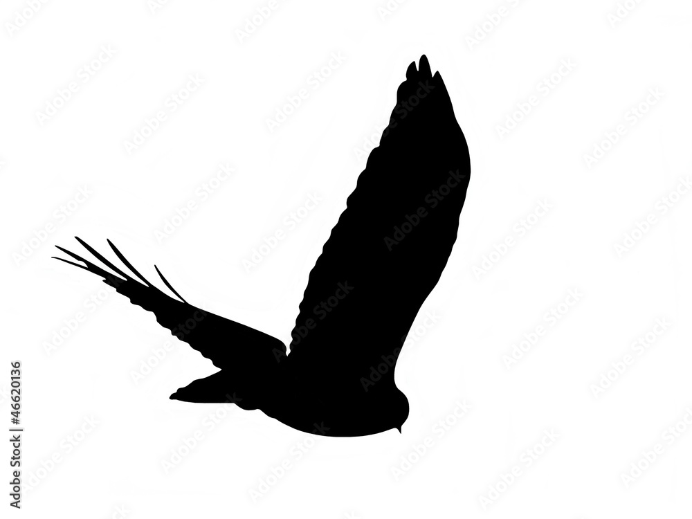 Raubvogel Silhouette Stock Gamesageddon