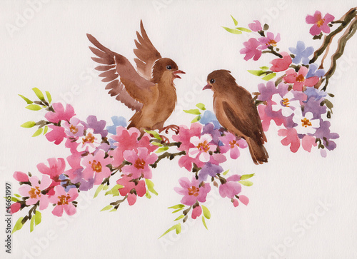 Fototapeta na wymiar Wiosenne kwiaty i ptaki akwarela