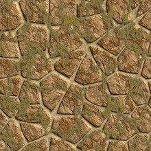 The Wall Covered With A Lichen. Seamless Texture.