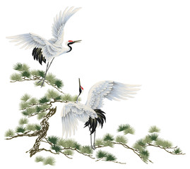 Obraz na płótnie sosna zwierzę ptak