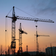 Canvas Print - Industrial cranes