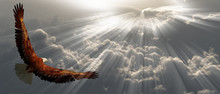 Eagle In Flight Above The Clouds
