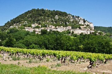 Sticker - Provence's Vineyards