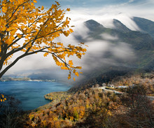 Beautiful Mountain With Nice Maple And Cloud Background