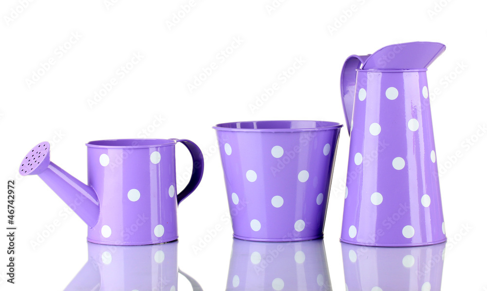 Purple watering can and buckets with white polka-dot isolated