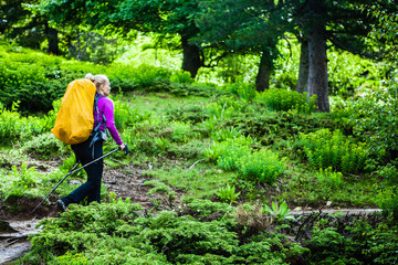 woman hiking with backpack in green forest, corsica mountains