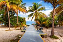 Path Leading To The Tropical Beach Of Varadero In Cuba