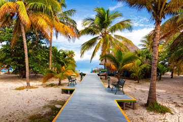 Wall Mural - Path leading to the tropical beach of Varadero in Cuba