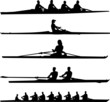 rowing collection - vector