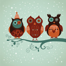 Three Cute Vector Owls