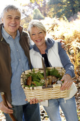 Wall Mural - Senior couple in forest holding basket full of ceps mushrooms