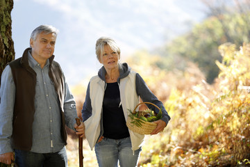 Wall Mural - Senior couple walking in forest in autumn