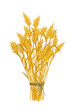 Golden wheat icon