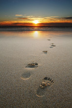 Footprints In Sand At Beach