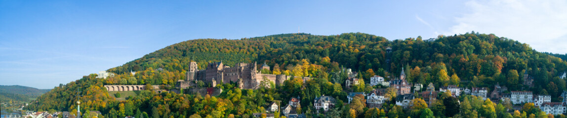Fototapete - Heidelberg Stadtpanorama