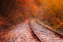Railway In The Autumn Forest