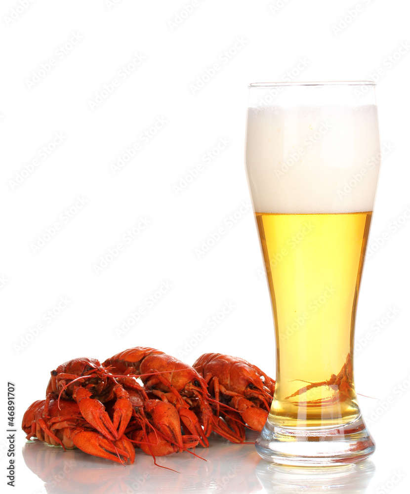 Tasty boiled crayfishes and beer isolated on white