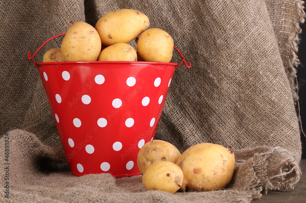 Ripe potatoes in red pail on sacking