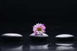 Fototapeta Kuchnia - Zen three stones with pink gerbera reflection