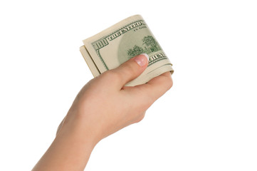 Wall Mural - Hand with dollars