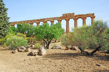 Valley Of The Temples. Agrigento. Sicily.