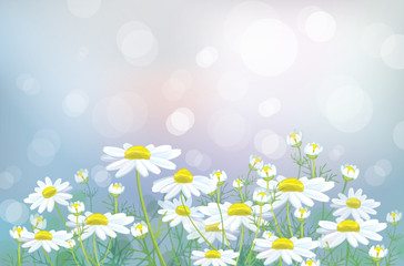 Wall Mural - vector of spring background