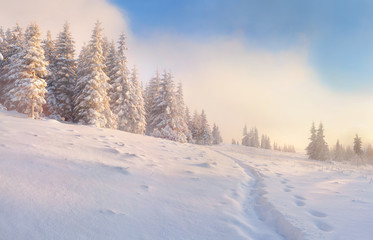 Wall Mural - Beautiful winter morning in the mountains