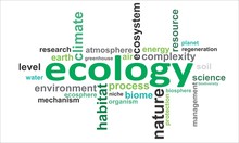 Word Cloud - Ecology