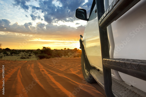 Fototapeta na wymiar kalahari safari