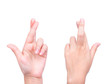 © jannoon028 - conceptual image, finger crossed hand sign isolated on white wit