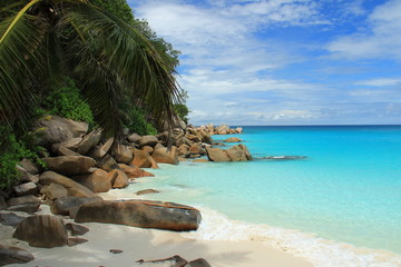  Plage paradisiaque des Seychelles