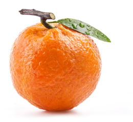 Poster - Tangerines with green leaf and water drops isolated on white