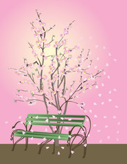 Wall Mural - pink cherry tree blossom and bench