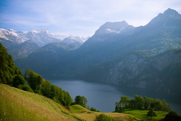 Wall Mural - View to Swisss Alps and Luzerne lake from Morschach