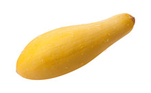 Yellow Squash Isolated With Clipping Path