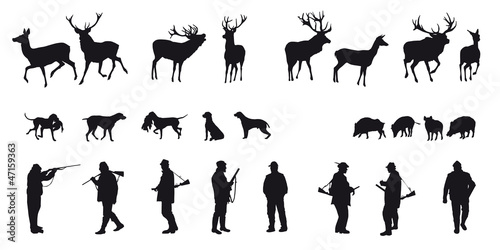 Fotografie, Obraz Motive hunting of animals and landscapes