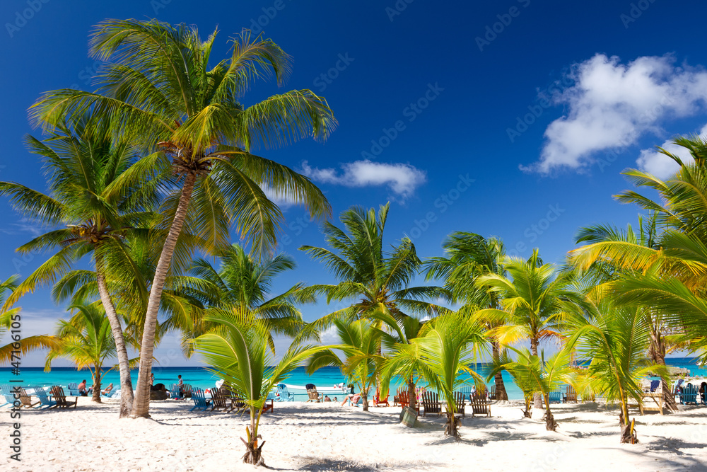 Tropical Beach, Saona Island, Dominican Republic - obrazy, fototapety, plakaty 